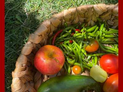 Woven basket with apple, cucumber, tomatoes and green chilies on grass