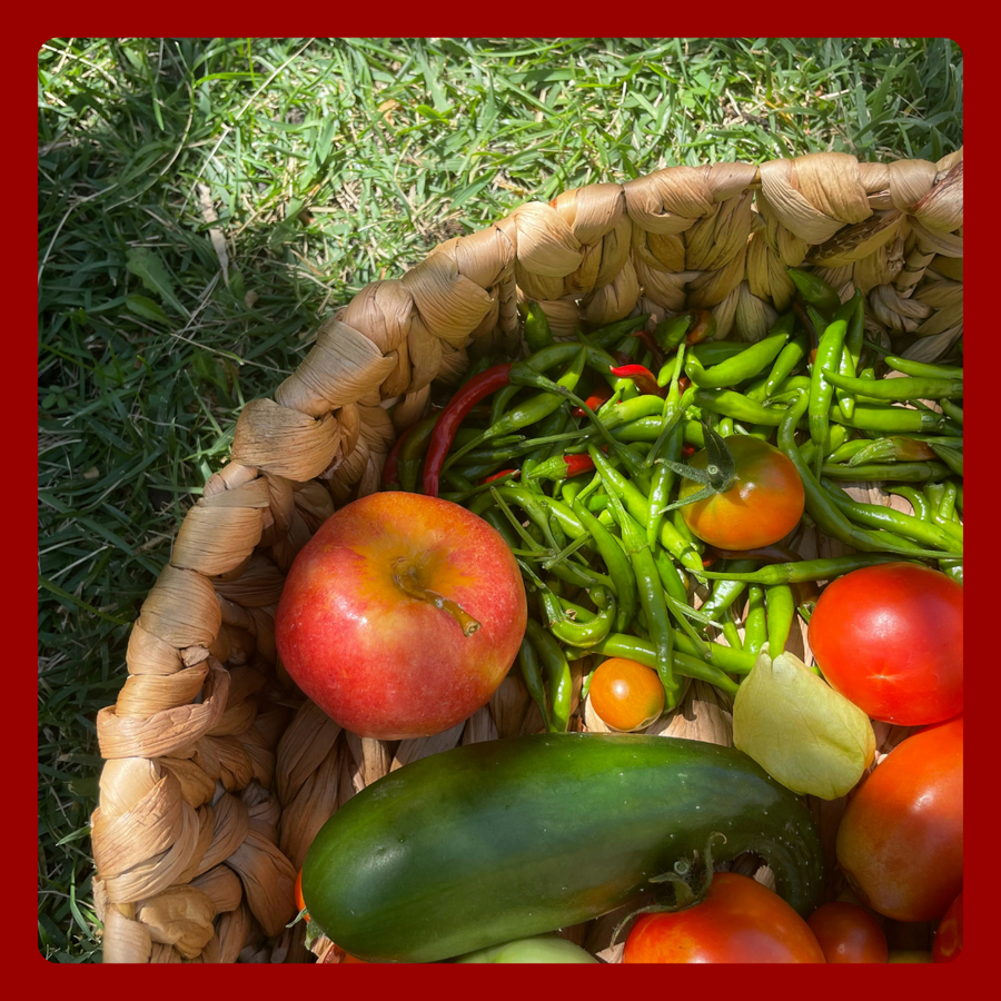 Tomatoes, apples and peppers in a basket.