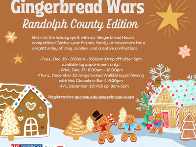 Gingerbread Wars