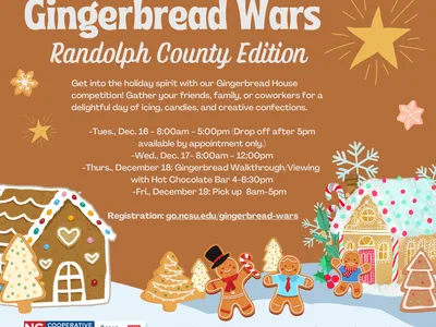 Gingerbread Wars