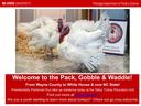 picture of presidentially pardoned turkeys