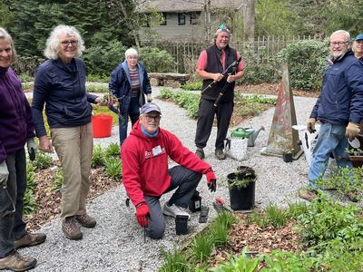 Seven people gardening on a gravel path, kneeling and holding tools and potted plants.