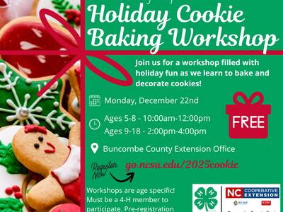 Holiday Cookie Baking Workshop — December 22; ages 5–8 10–12, 9–18 2–4; FREE