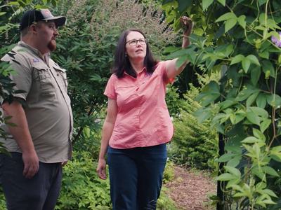 Holly Jordan, director of Extension's Buncombe County center, recognized for her leadership during Hurricane Helene recovery, gestures toward foliage in a garden as a colleague looks on.