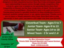 Horse Bowl Flyer