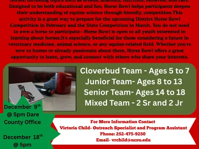 Horse Bowl Flyer