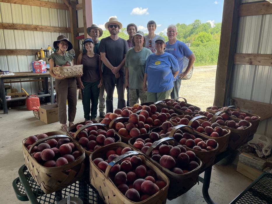 Group of nine people posing behind several baskets overflowing with freshly picked peaches inside a barn.