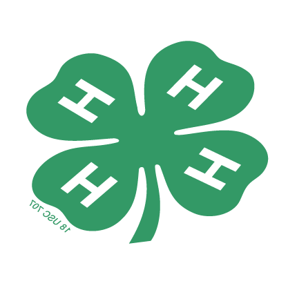 4-H Emblem that is flipped, rotated and stretched, demonstrating incorrect usage.