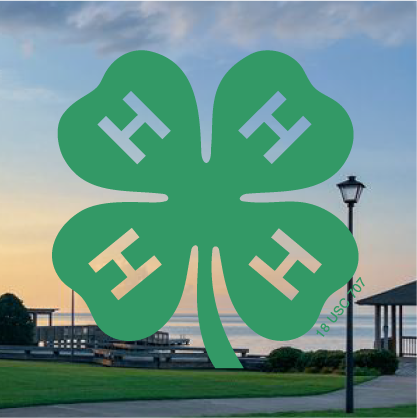 4-H Emblem that has transparent Hs, demonstrating incorrect usage.