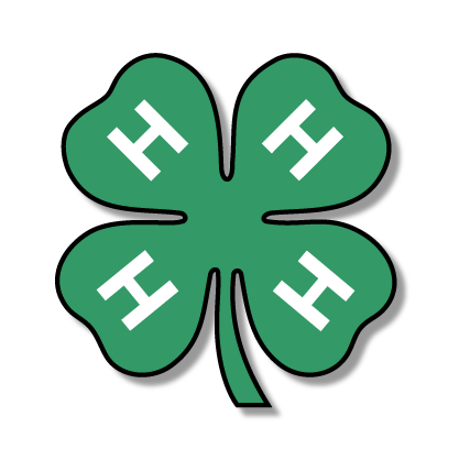 4-H Emblem that has been modified with an outline and drop shadow, and does not have the legal insignia "18 U.S.C. 707", demonstrating incorrect usage.