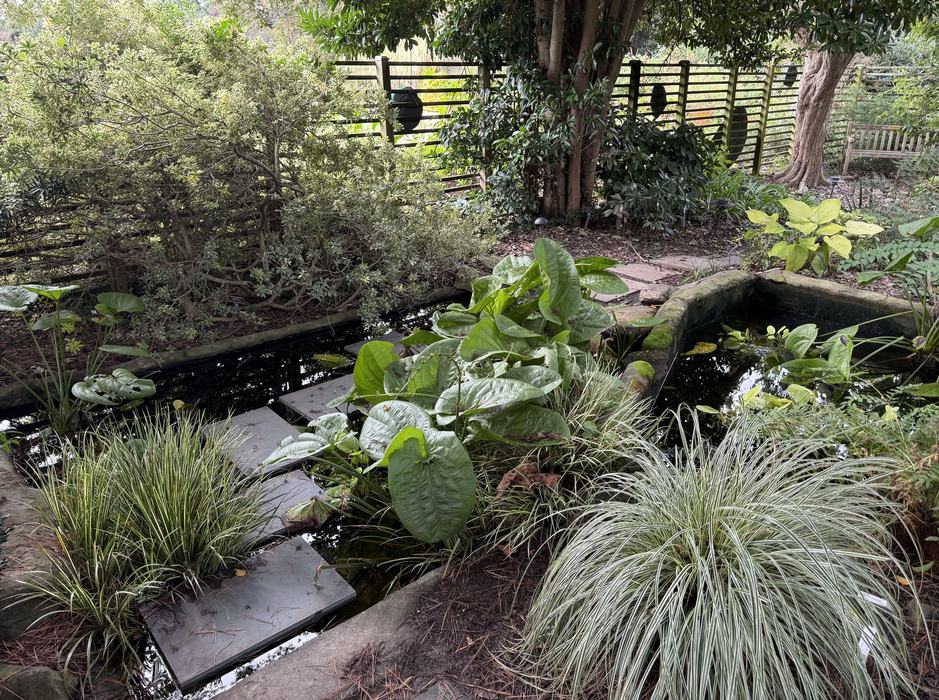 A small, water garden featuring floating stepping stones across a small pond, surrounded by lush foliage.