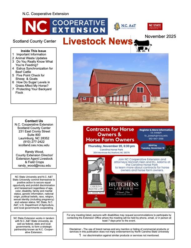 Livestock Newsletter Nov 2025 (1)-3 (1)