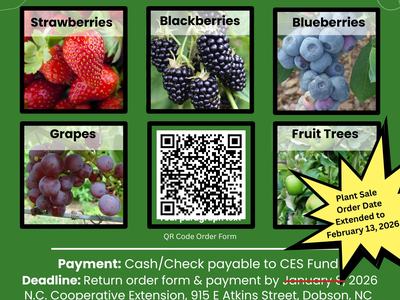 2026 Plant Sale flyer: strawberries, blackberries, blueberries, grapes, fruit trees; QR code; pickup early February