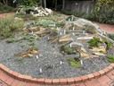 A small rock garden featuring various alpine and drought-tolerant plants, set on a bed of gravel and framed by a brick border.
