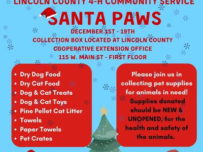 Santa Paws Community Service Collection Box.