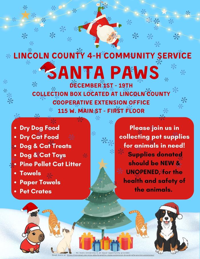 Santa Paws Community Service Collection Box.