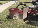 Grinding Crepe Myrtle Stumps