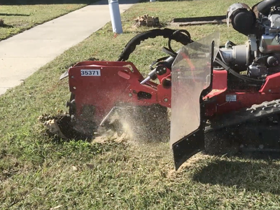 Grinding Crepe Myrtle Stumps