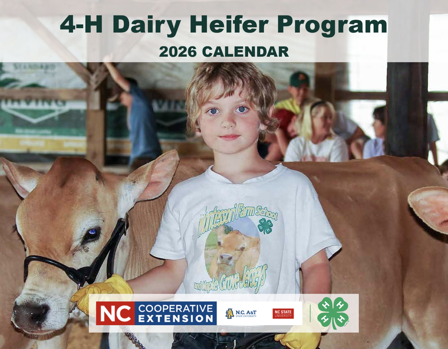Child holding a heifer in a barn; text "4-H Dairy Heifer Program 2026 CALENDAR"