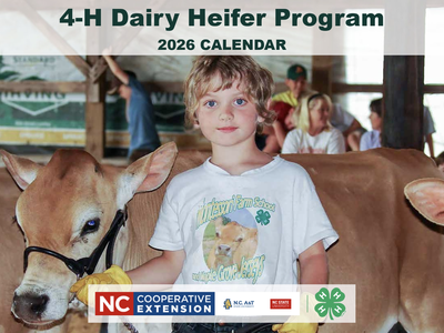 Child holding a heifer in a barn; text "4-H Dairy Heifer Program 2026 CALENDAR"