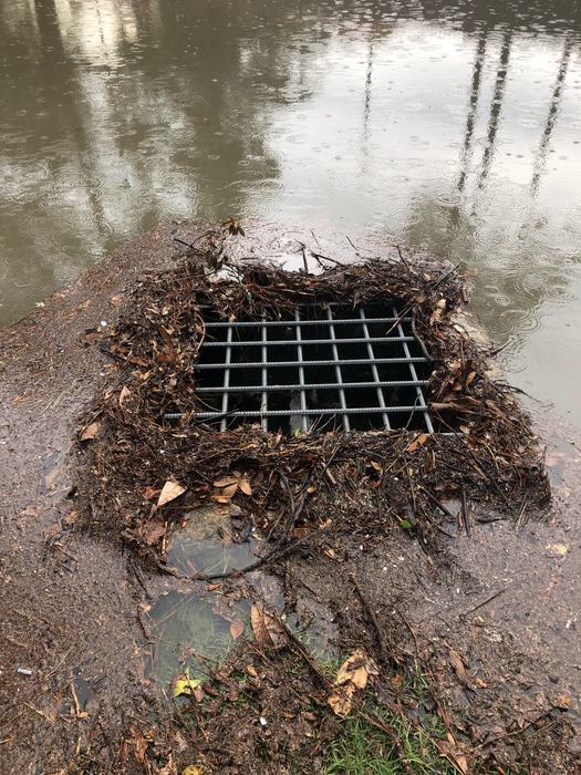 Stormwater entering a drainage grate transporting sediment and nutrients