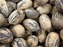 The word pecan comes from the Algonquin word pacane, meaning nuts requiring a stone to crack.