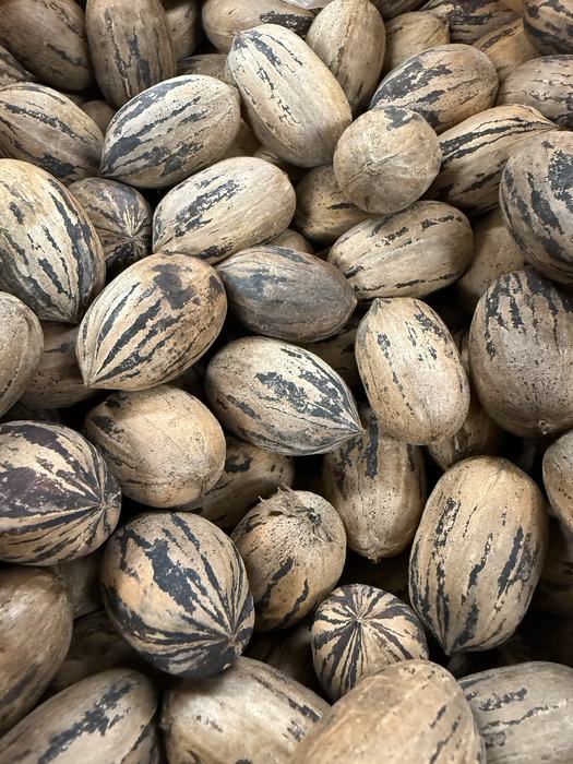 The word pecan comes from the Algonquin word pacane, meaning nuts requiring a stone to crack.