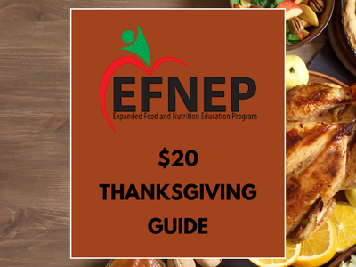 $20 Thanksgiving Guide cover from the EFNEP (Expanded Food and Nutrition Education Program) against a background of holiday foods.