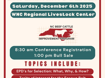 WNC Beef Conference & Bull Sale — Saturday, December 6th 2025, WNC Regional Livestock Center
