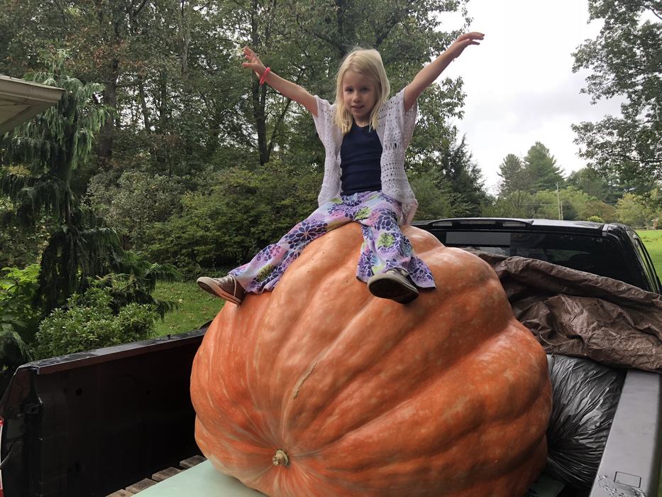 A young girl sits on a giant pumpkin in the back of a pickup truck at an NC State Extension research plot in the North Carolina mountains, surrounded by vines and other foliage, showing the scale of the pumpkin.