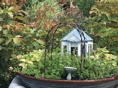 Fairy garde in a birdbath dish featuring a miniature arbor and greenhouse.