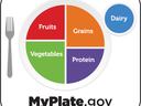Plate divided into Fruits, Grains, Vegetables, Protein with Dairy cup; MyPlate.gov