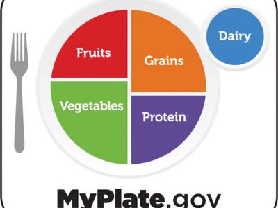 Plate divided into Fruits, Grains, Vegetables, Protein with Dairy cup; MyPlate.gov