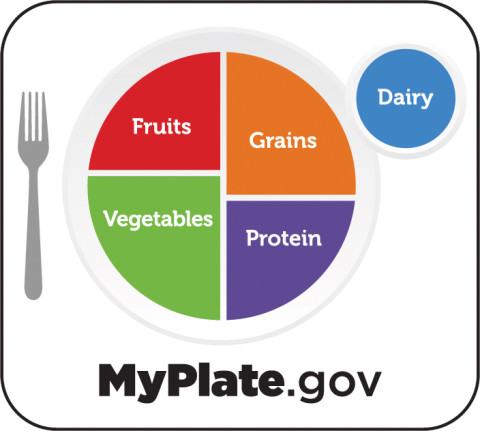 My Plate logo with colorful sections showing each food group