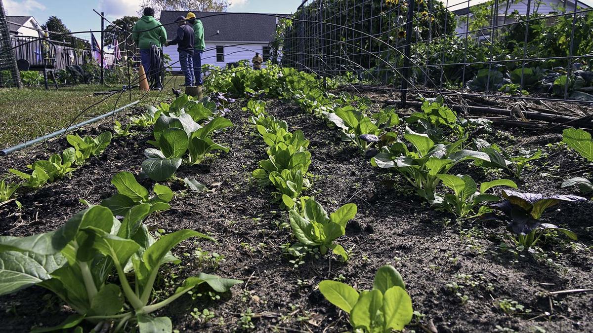 Soldiers to Agriculture NC State Extension Cumberland County purpose and healing through agriculture