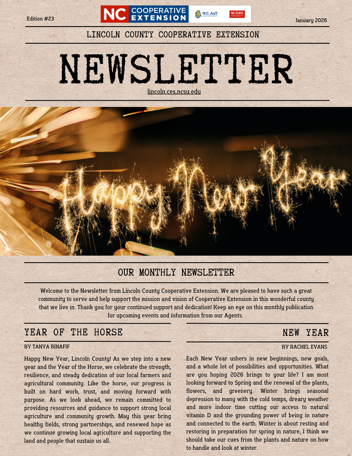cover page of January 2026 Newsletter