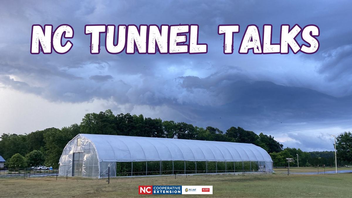 High tunnel and stormy sky