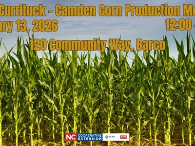2026 currituck camden corn production meeting