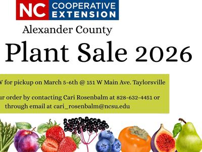 Flyer for 2026 Fruit Plant Sale - Order NOW for pickup on March 5-6th @ 151 W Main Ave. Taylorsville Place your order by contacting Cari Rosenbalm at 828-632-4451 or through email at cari_rosenbalm@ncsu.edu