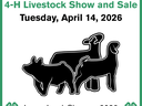 Flyer for the 2026 Tyrrell County 4-H Livestock Show and Sale. Depicts a pig, lamb, and goat.