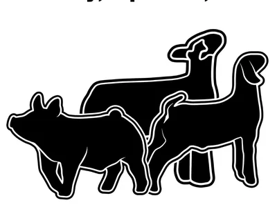 Flyer for the 2026 Tyrrell County 4-H Livestock Show and Sale. Depicts a pig, lamb, and goat.