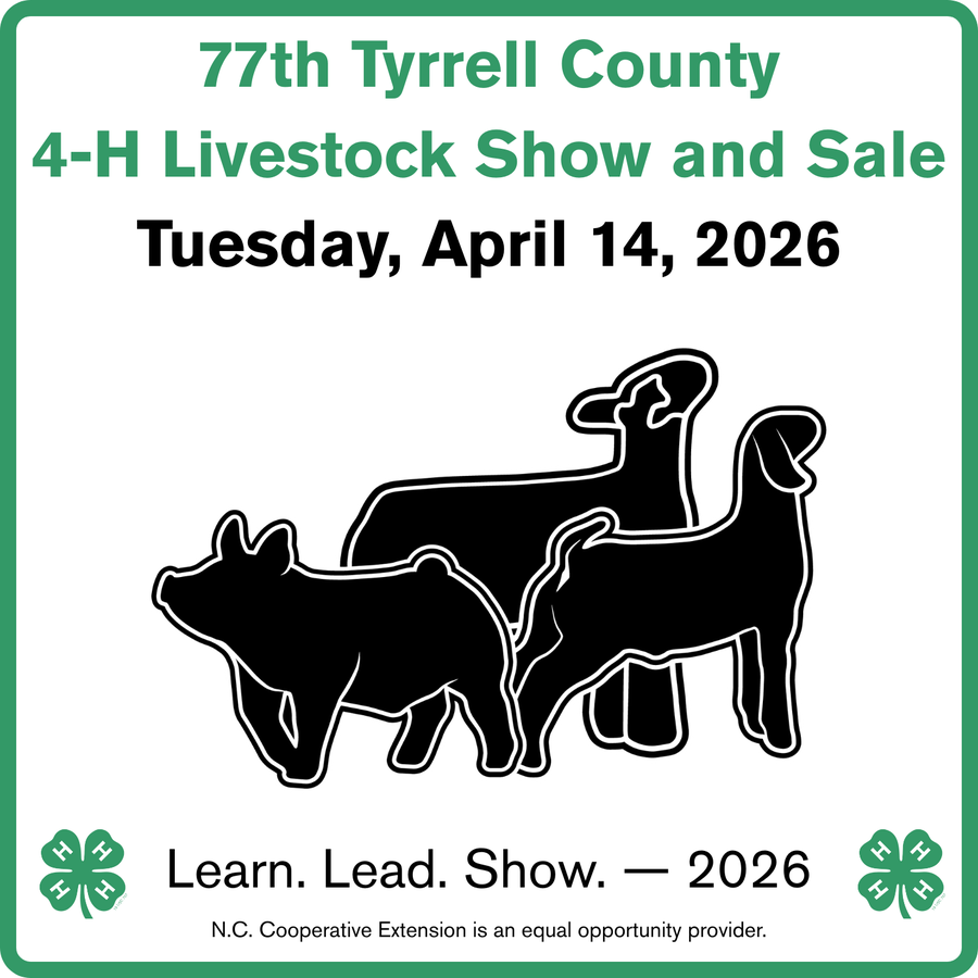 Flyer for the 2026 Tyrrell County 4-H Livestock Show and Sale, featuring illustrations of a pig, a lamb, and a goat.