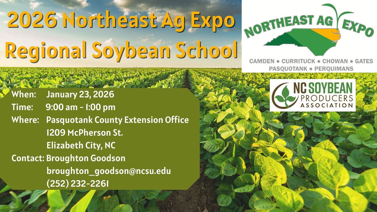 Soybean School