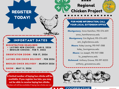 Regional Chicken Project Flyer.