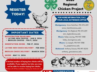 Regional Chicken Project Flyer.