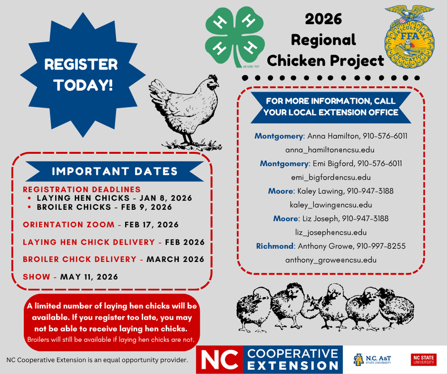 Regional Chicken Project Flyer.