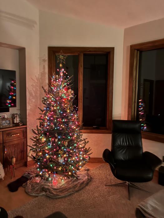 A Fraser Fir Christmas tree brights up a wintery night