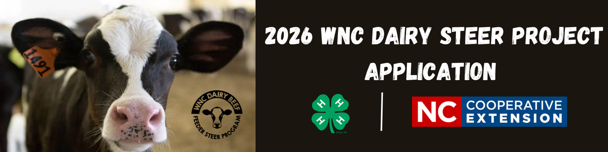 2026 WNC Dairy Steer Project Application