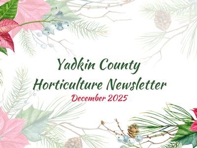 December Newsletter
