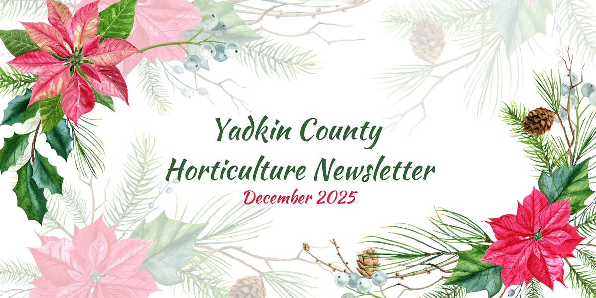 December Newsletter
